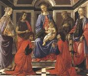 Sandro Botticelli Madonna enthroned with Child and Saints (Mary Magdalene,John the Baptist,Cosmas and Damien,Sts Francis and Catherine of Alexandria) oil painting on canvas